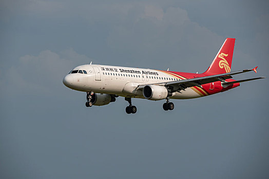 dự đoán wap