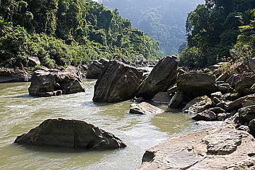 soi cau bach thu mien phi mien bac hom nay