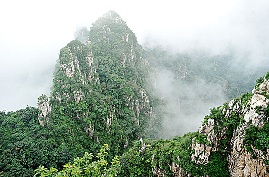 dự đoán xỉu chủ