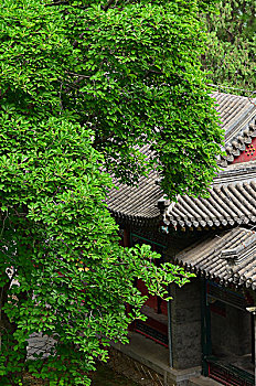 xổ số kiên giang 30 ngày