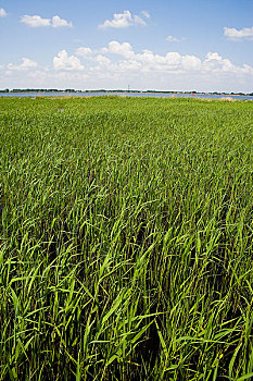 soi cầu 288