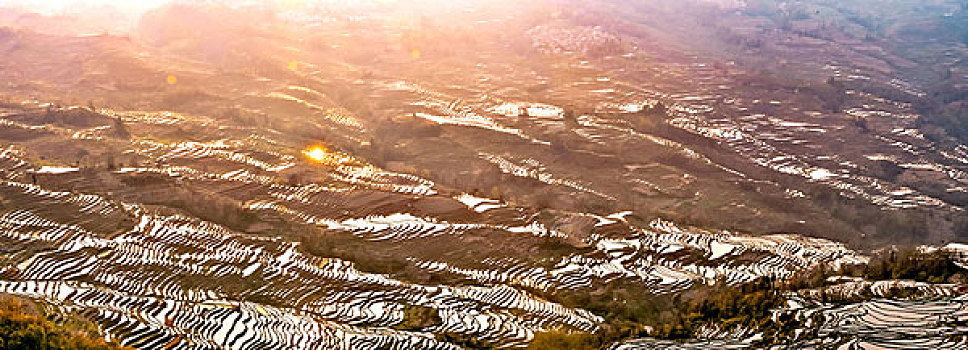 soi cầu vàng 6789
