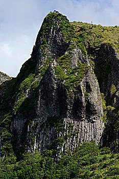 lo de rong vang bach kim