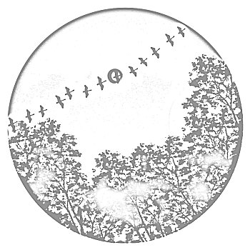 soi cầu bạch thủ 555