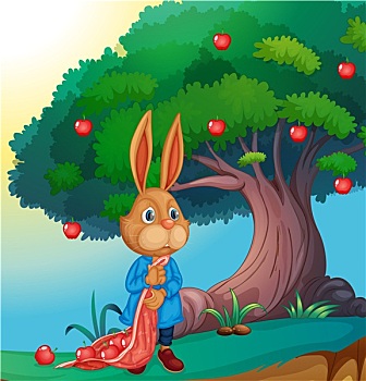 xsmb thu 4 hang tuan