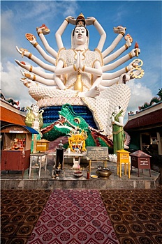 xs mình ngoc