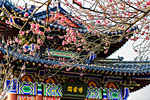 miền bắc thứ ba