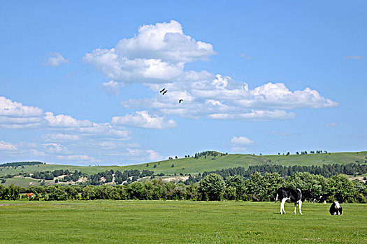 du doan xo so bac lieu