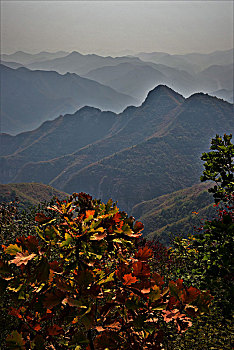 du doan xo so mien nam trung thuong