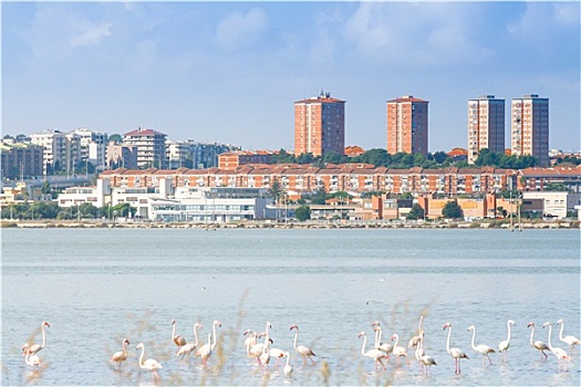 2 số cuối giải đặc biệt