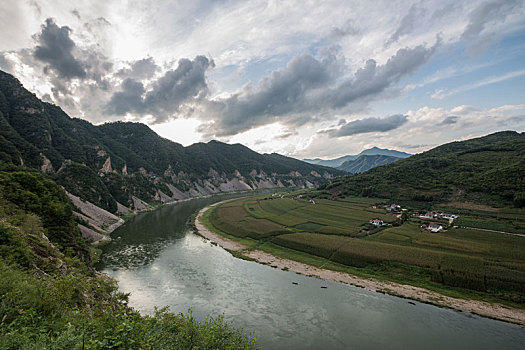 thong ke rong bach kim