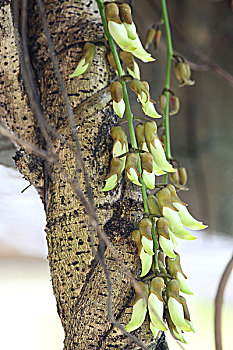 xo số miền nam