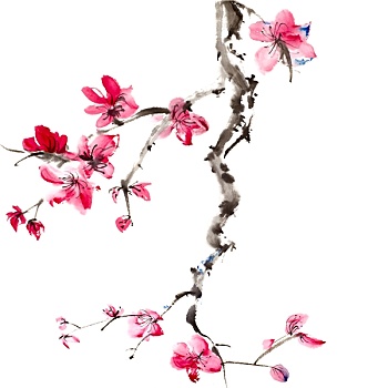 xổ số vĩnh