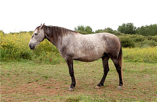 dự đoán mb