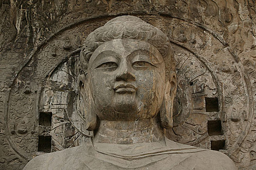 xs đa năng
