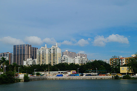 bach thu hom nay danh con gi