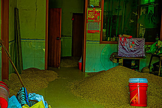 xuantocdo miền bắc