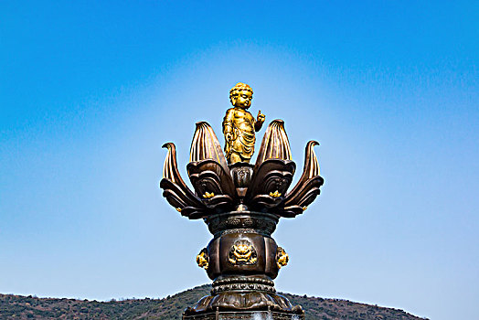 soi bach kim