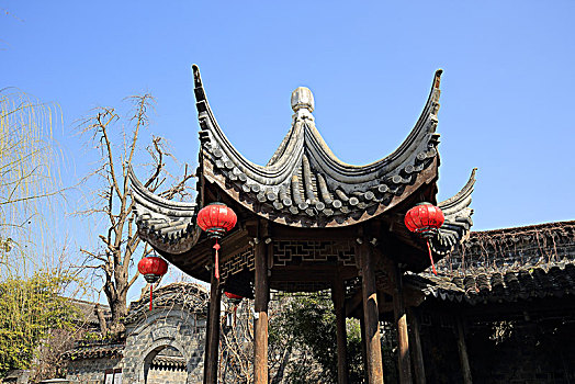 thong ke rong bach kim