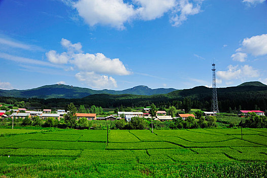 soi cầu bach thủ mb