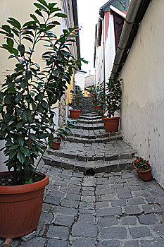 soi cầu bach thủ