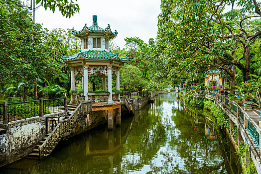 cầu bạch thủ hôm nay