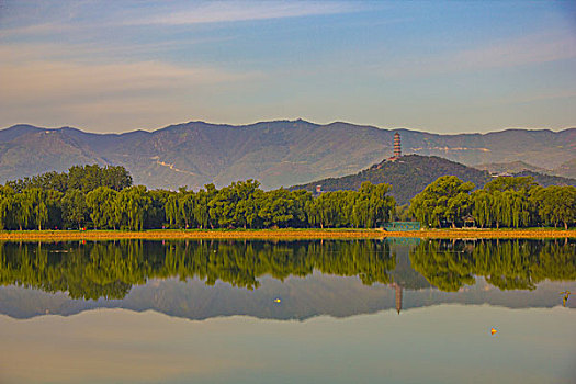 bạch thủ đề chuẩn
