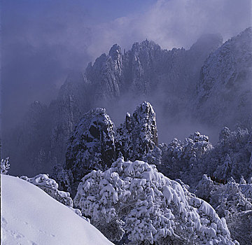 soi cau bach thu ngay hom nay