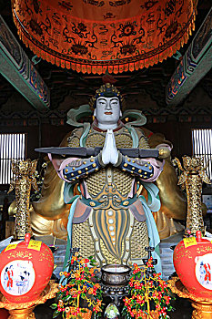 soi cau lo bach thu