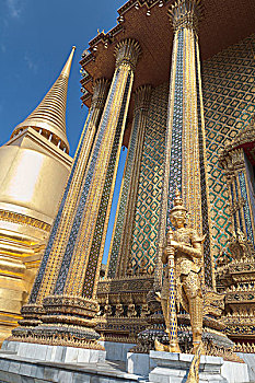 cách chọn dòng quay hũ manvip