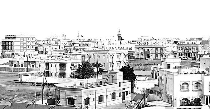 lo bach thu khung 3