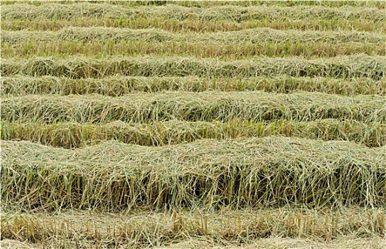 dự đoán xổ số miền