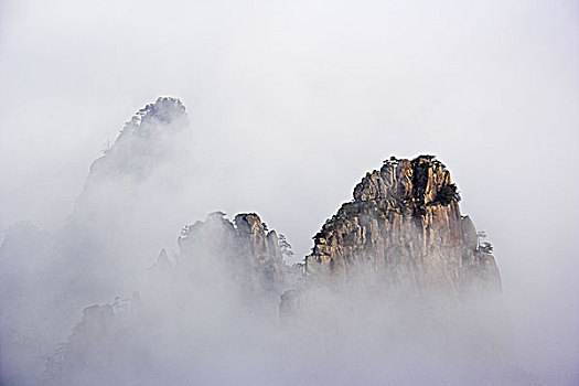 soi cau mb bach thu