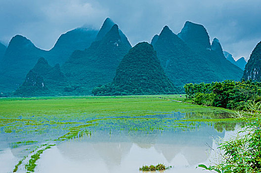 bach thu lo de