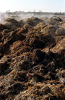 soi cầu chính xác 100