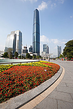 soi cầu
