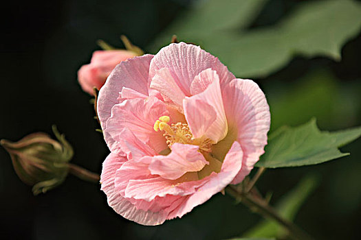 soi cầu 6116