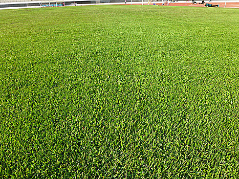 hôm nay bạch thủ con gì