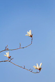 kết qua xo so miễn bac