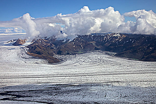 rong bach kim mien bac