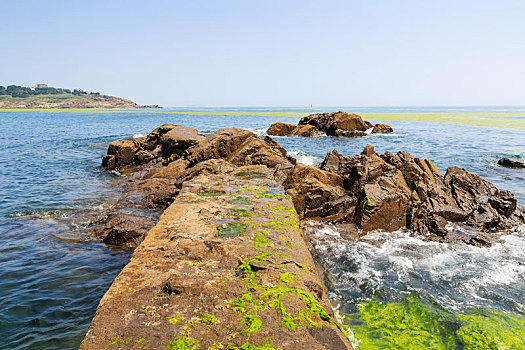 bạch thủ lô kép khung 3 ngày