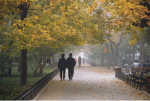 lô bach thu mien bac