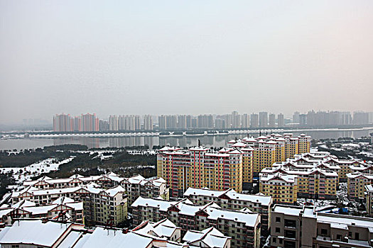 bạch thủ