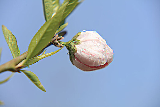 xsmn thu tu hang tuan