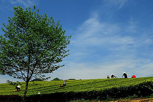du doan kqxs binh dinh