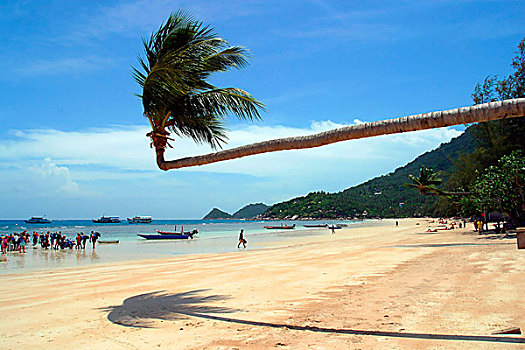 tổng đài soi cầu lô đề