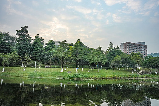 số miền bắc hôm nay
