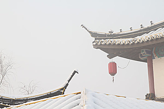 số cần thơ