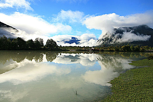 trang đánh số đề uy tín