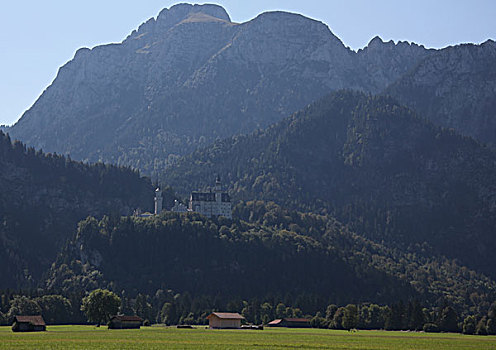 cau 247